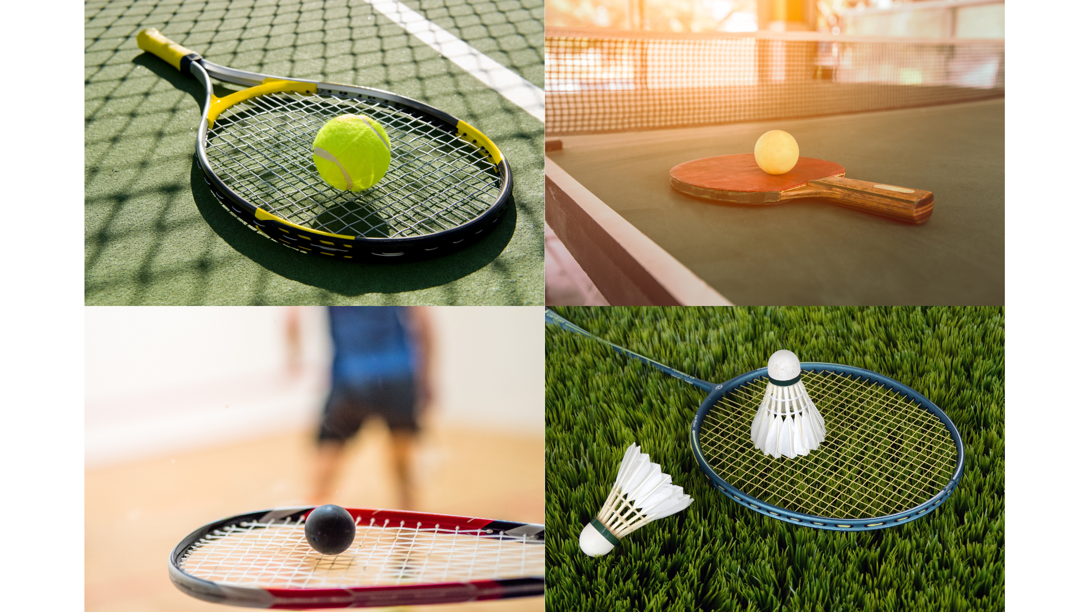 Probe The Racket Racketlon - Der ultimative 4-in-1-Sport, der deine Racket-Skills auf d ...